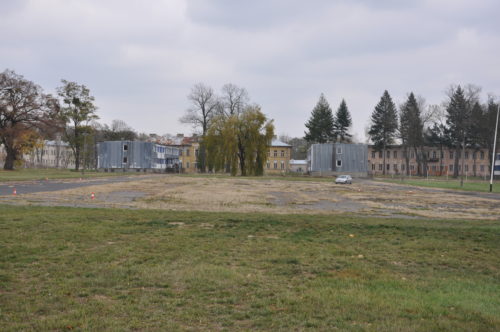 DSC_0691