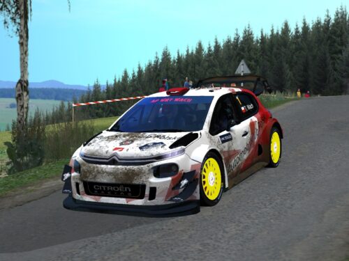 Zespół AP mistrzem Virtual Rally Championship