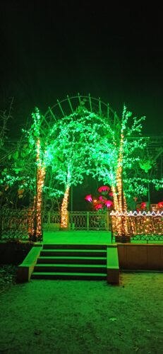 IMG_20221021_203610