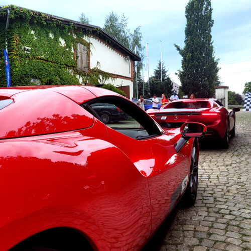 ferrari24 (10)