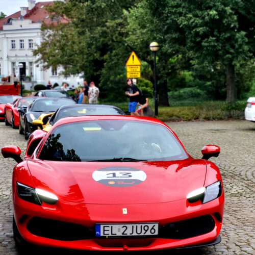 ferrari24 (15)