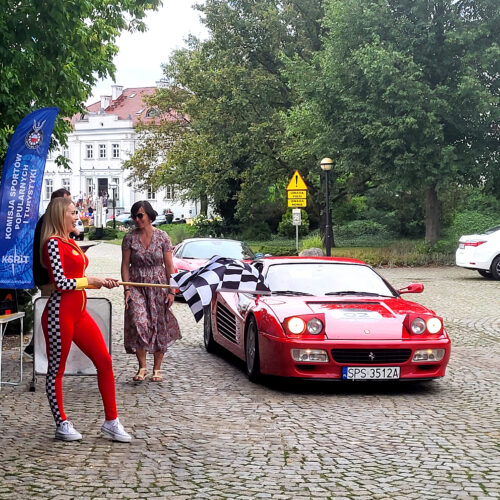 ferrari24 (2)