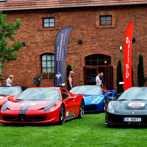 ferrari24 (28)