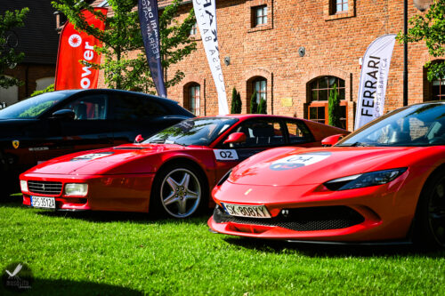 ferrari24 (33)