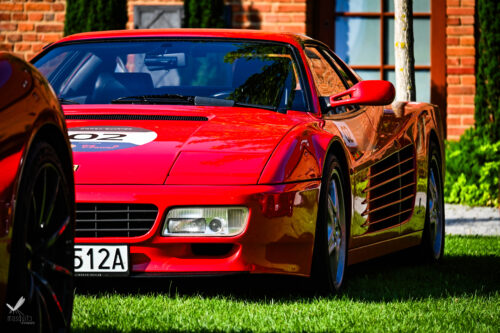 ferrari24 (36)