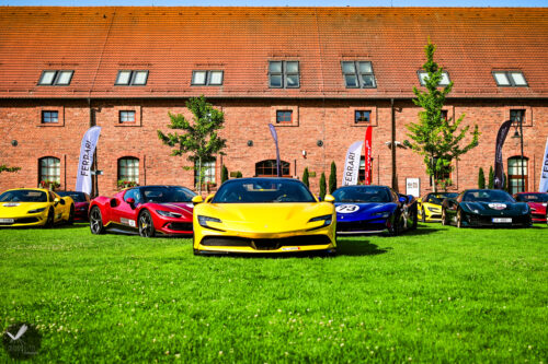 ferrari24 (43)