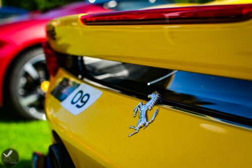 ferrari24 (47)