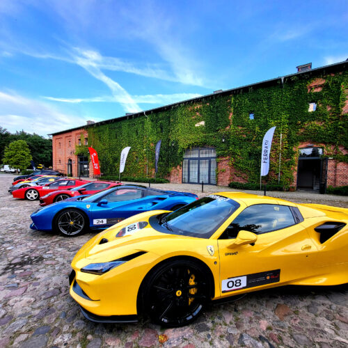 ferrari24 (54)