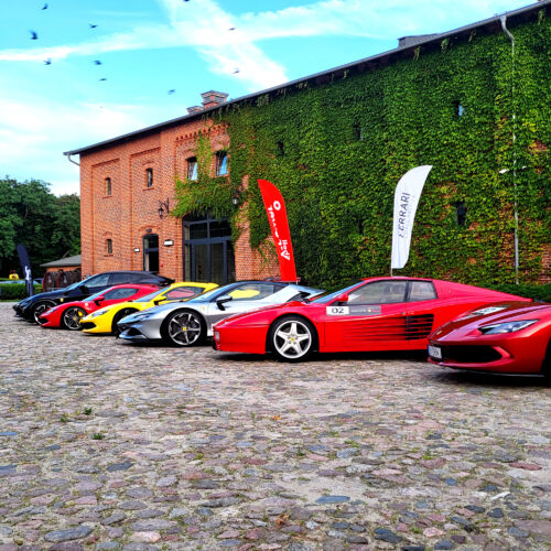 ferrari24 (55)