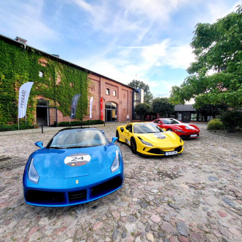 ferrari24 (63)