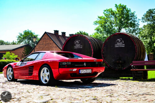 ferrari24 (70)