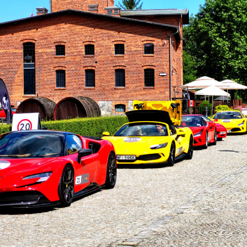 ferrari24 (74)