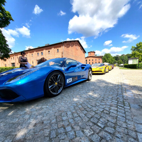 ferrari24 (83)