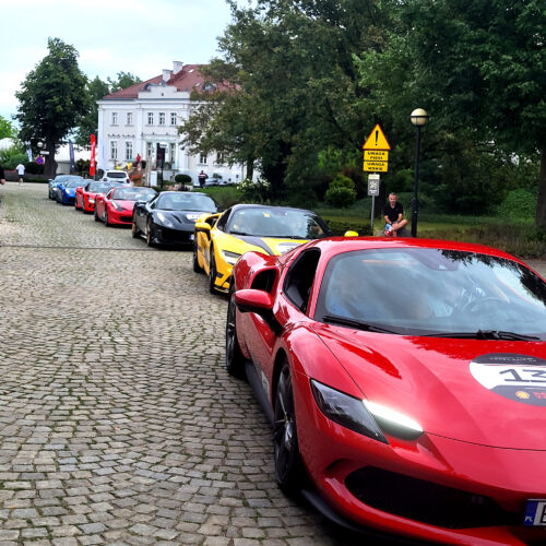 ferrari24 (9)